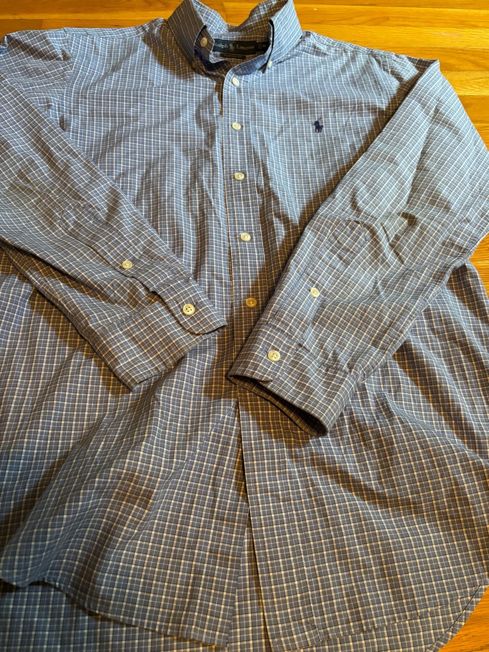 Polo by Ralph Lauren Blue & White Plaid Long-Sleeve Button-Down Shirt